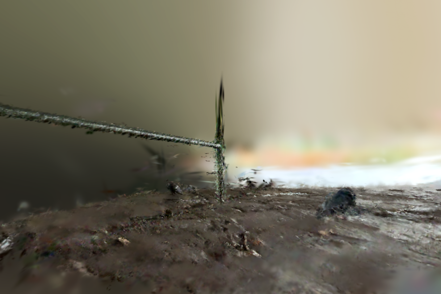Spatial Photos