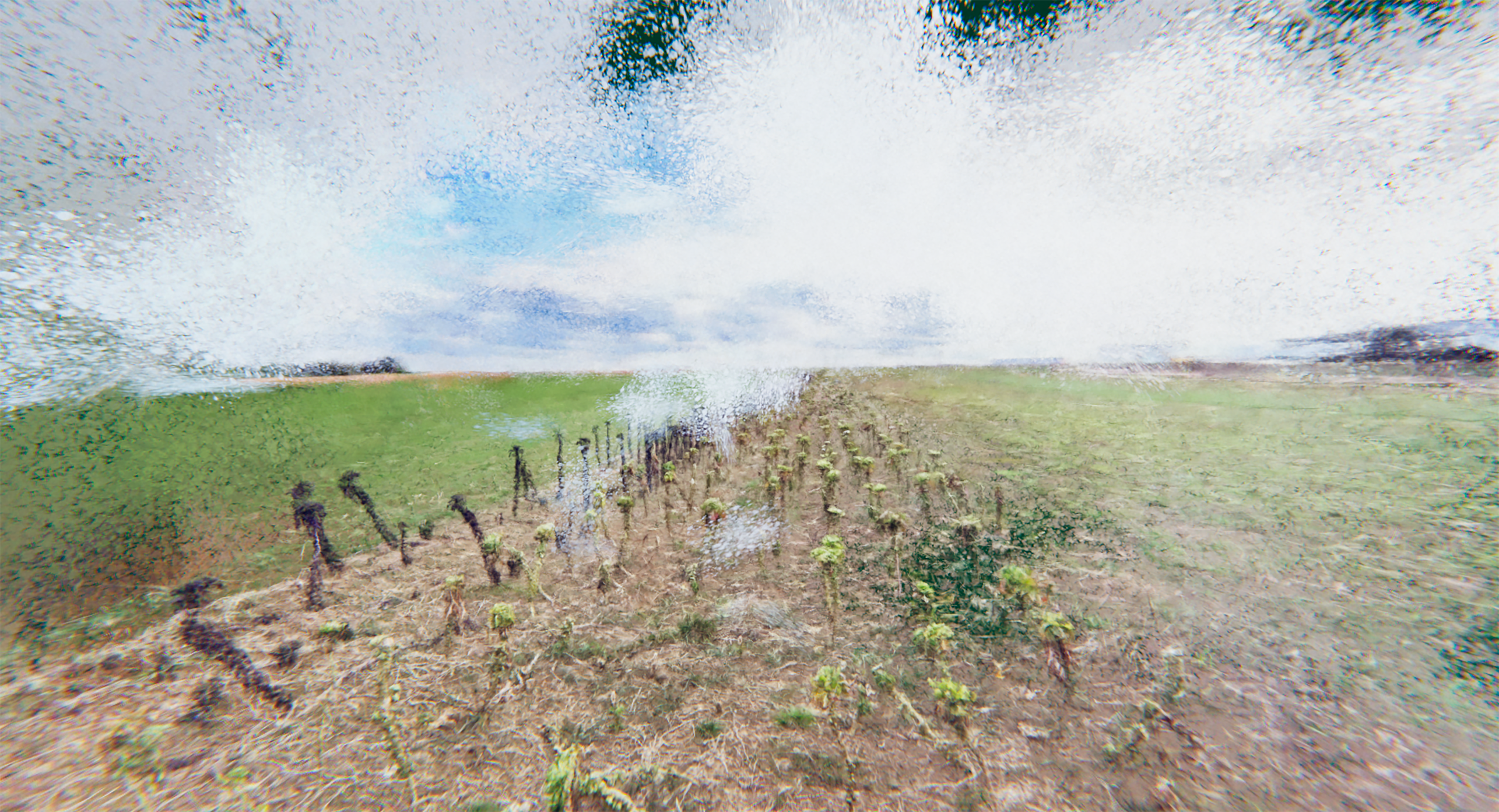 Spatial Memories